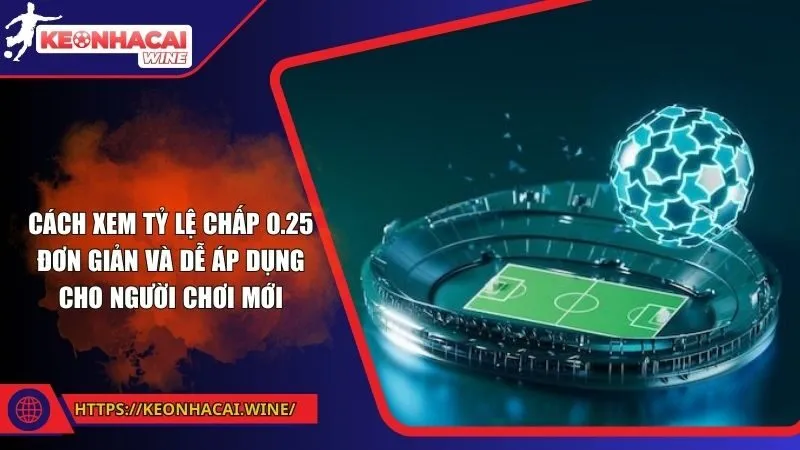 Cách xem tỷ lệ chấp 0.25 đơn giản và dễ áp dụng cho người chơi mới